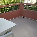 Summer Sz سوزوبول